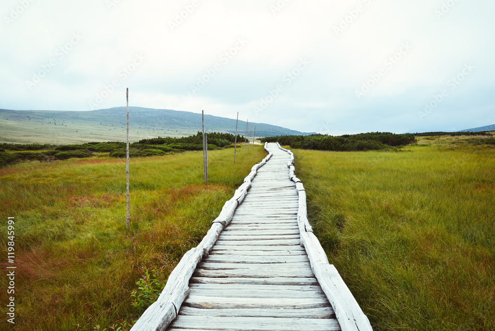 Wooden footbridge leading through mountain peat bog