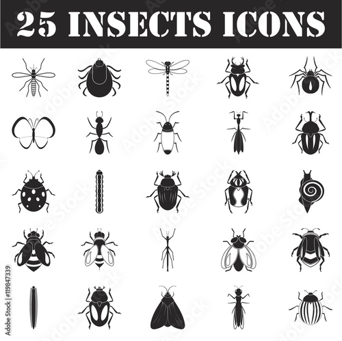 insects icon set