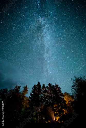 Milky way in the forest among trees