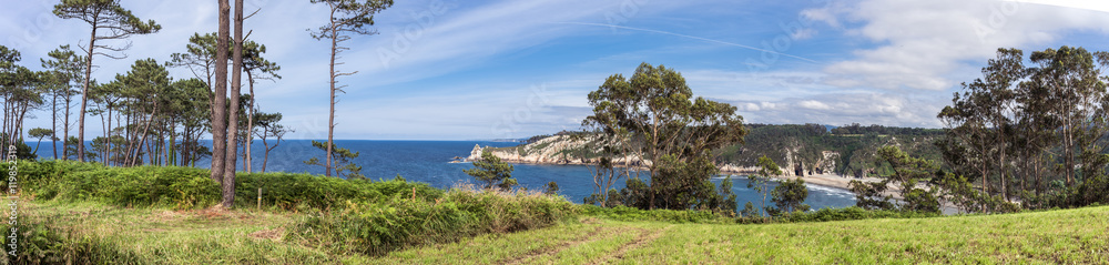Beautiful seaview from green forest Beautiful seaview from green forest
