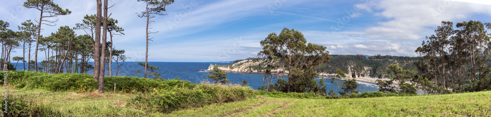 Beautiful  seaview from green forest