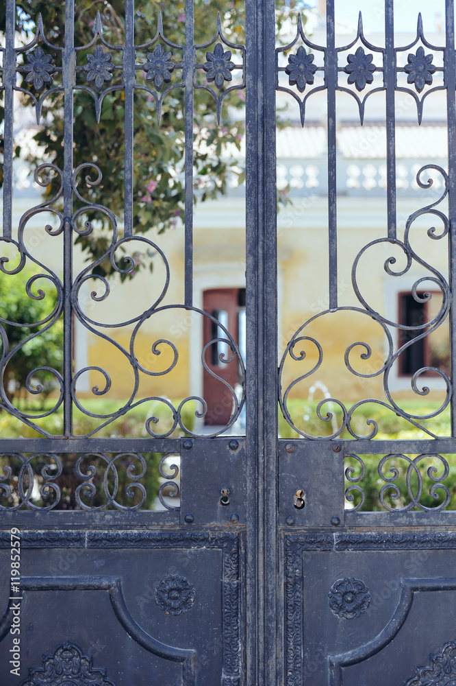 Fototapeta premium Closeup detailt of beautiful old ornate metal door outdoors background