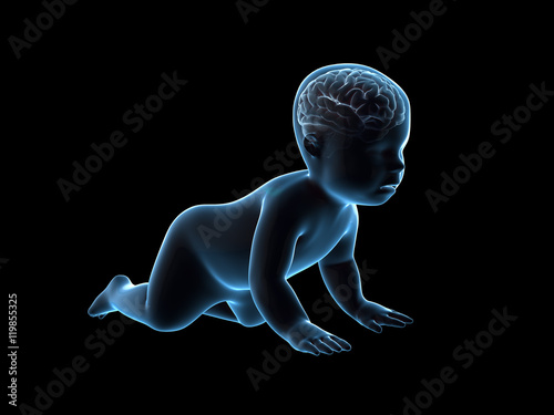 3d rendering x-ray of crawling baby with brain inside.
