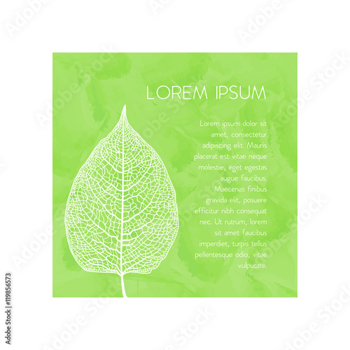 manually drawn leaf skeleton