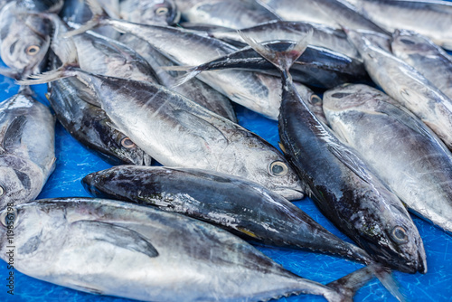 fresh tuna © yotrakbutda