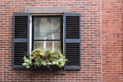 Garden on Window