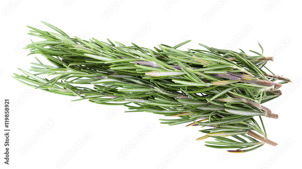 Fototapeta premium rosemary isolated on white background