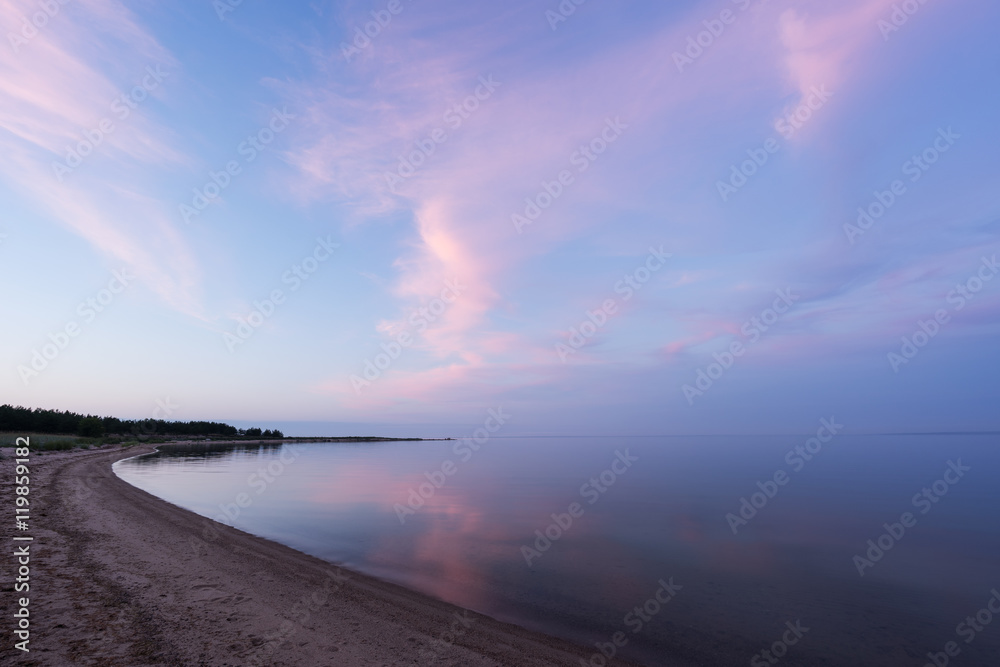 Evening sunlight and spruce tree on the coast, pink clouds and blue sky background. Beach in summer. Seaside forest, natural environment. Shore and pine in Koipsi Island, Estonia, Europe