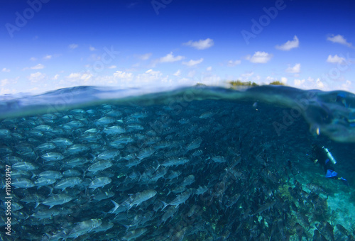 Ocean and sky split photo. Half and half fish in sea. Over under with scuba diver