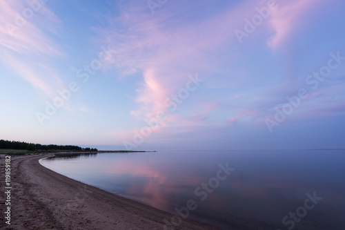 Evening sunlight and spruce tree on the coast, pink clouds and blue sky background. Beach in summer. Seaside forest, natural environment. Shore and pine in Koipsi Island, Estonia, Europe © Artenex