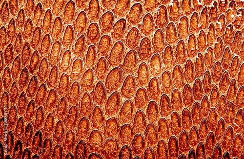 Brown snake skin, can use as background