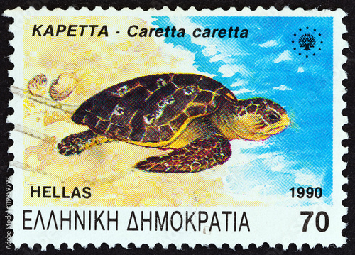 Loggerhead sea turtle, Caretta caretta (Greece 1990)