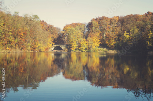 Lake in autumn, colorful robes, yellowed, colorful leaves on tre