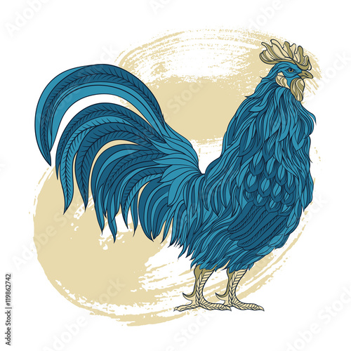 Hand drawn dark blue rooster in line art style. Vector illustration