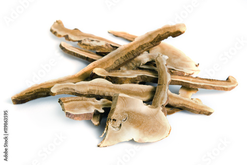 Lingzhi mushroom, Chinese traditional medicine, Ganoderma Lucidu