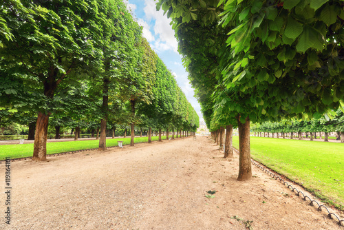 Fototapeta Naklejka Na Ścianę i Meble -  Luxembourg Palace and park in Paris, the Jardin du Luxembourg, o