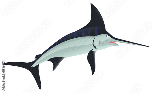 Sword Fish sea animal