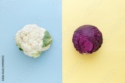Cauliflower and red cabbage on a bright color background. Seasonal vegetables minimal style. Food in minimal style.