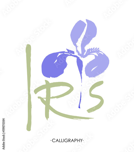 Vector flower logo. Floral background. Stylized calligraphic ink iris.