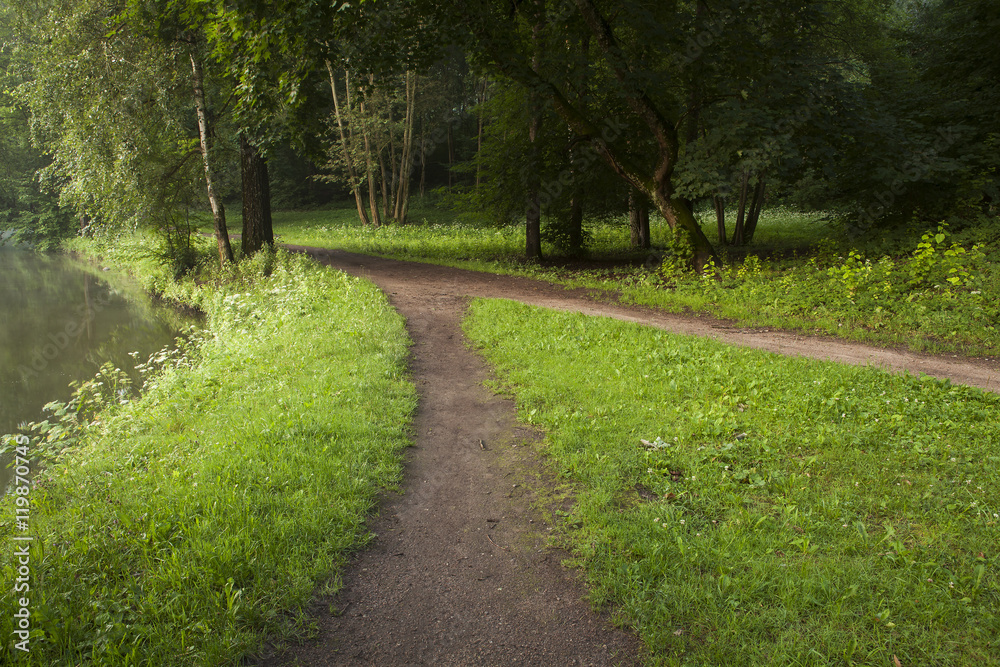 A walking path in a park along the pond. Green trees and grass field.