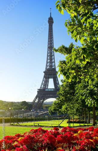 Flower and Eiffel Tower