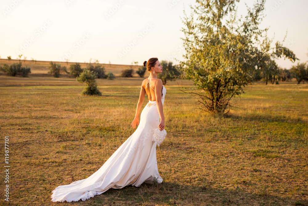 Fototapeta premium Bride in dress with a long train