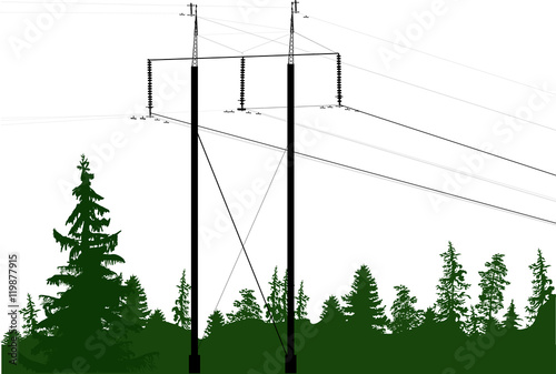 electric power black pylon in green forest