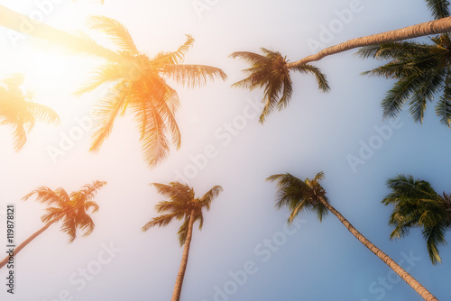 Palm trees and yellow sun in a sky