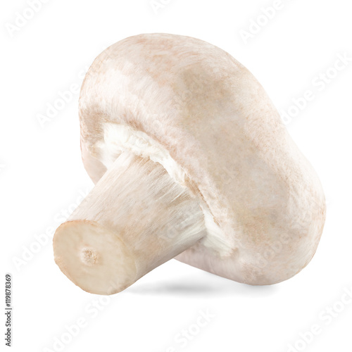 champignion mushroom