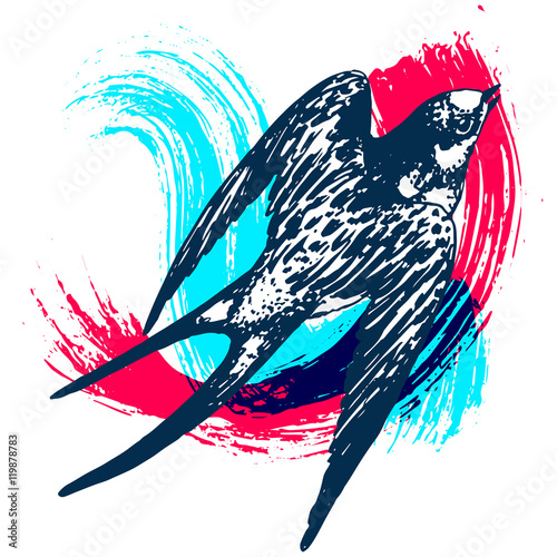 Vector hand drawn swallow bird illustration with paint texture on background. Flying swift detailed sketch, beautiful animal in the wild