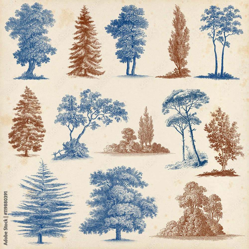 Naklejka Set of 13 Hand drawn Vintage Trees