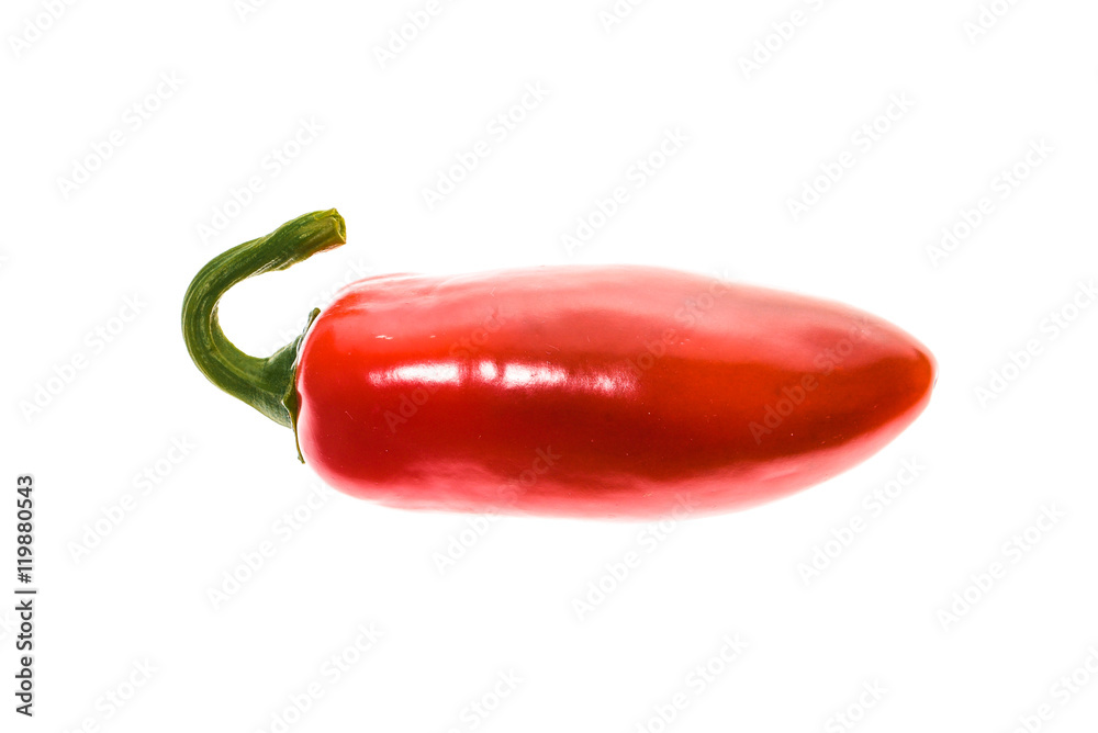 Red ripe jalapeno chili hot pepper from caribbean or mexico
