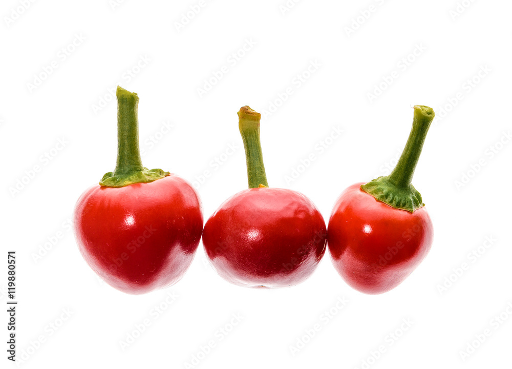 Red hot big cherry peppers chili isolated on white background. Red hot big cherry peppers chili isolated on white background.