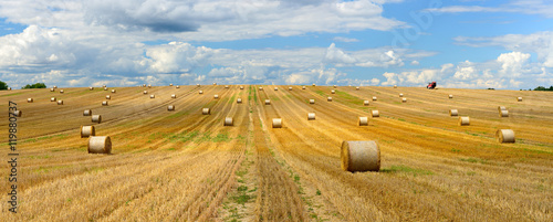 Farmer Harvesting Bales of Straw in Stubble Field, Summer Landscape under Blue Sky