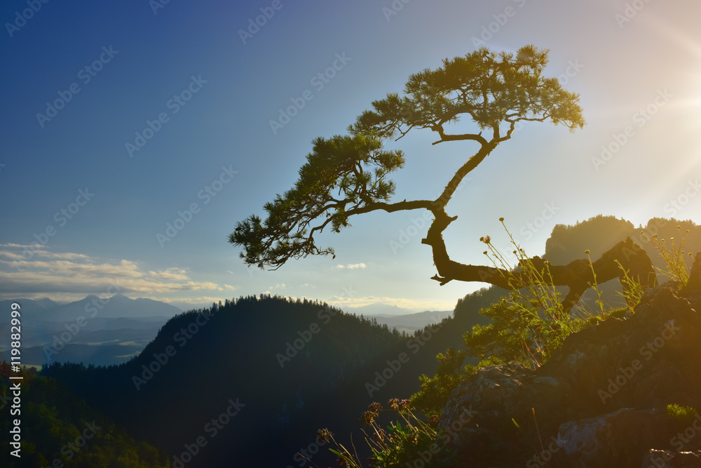 Sunset view of Sokolica peak in Pieniny mountain