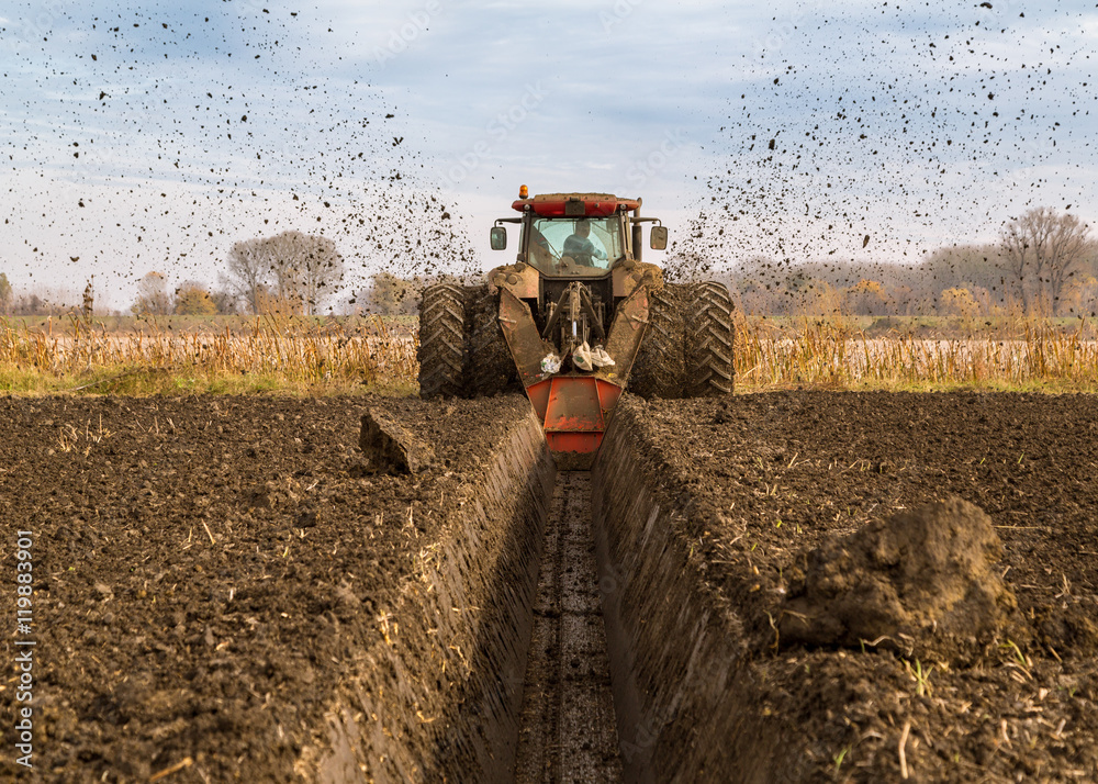 Fototapeta premium Agricultural landscape, arable crop field