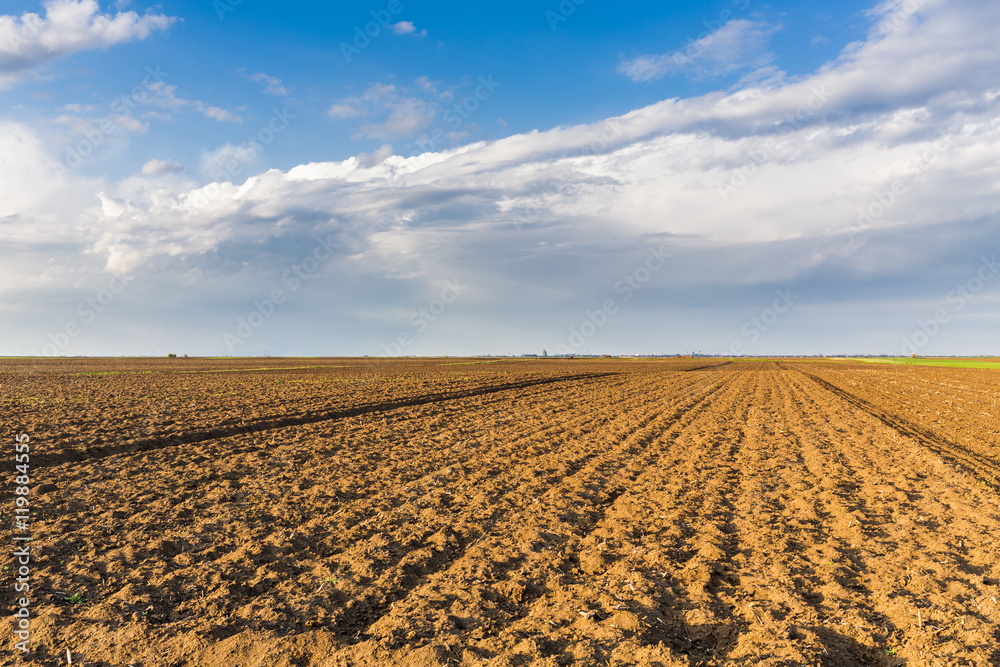 Agricultural landscape, arable crop field Agricultural landscape, arable crop field