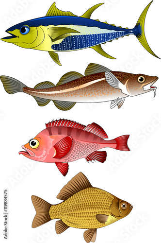 best fish