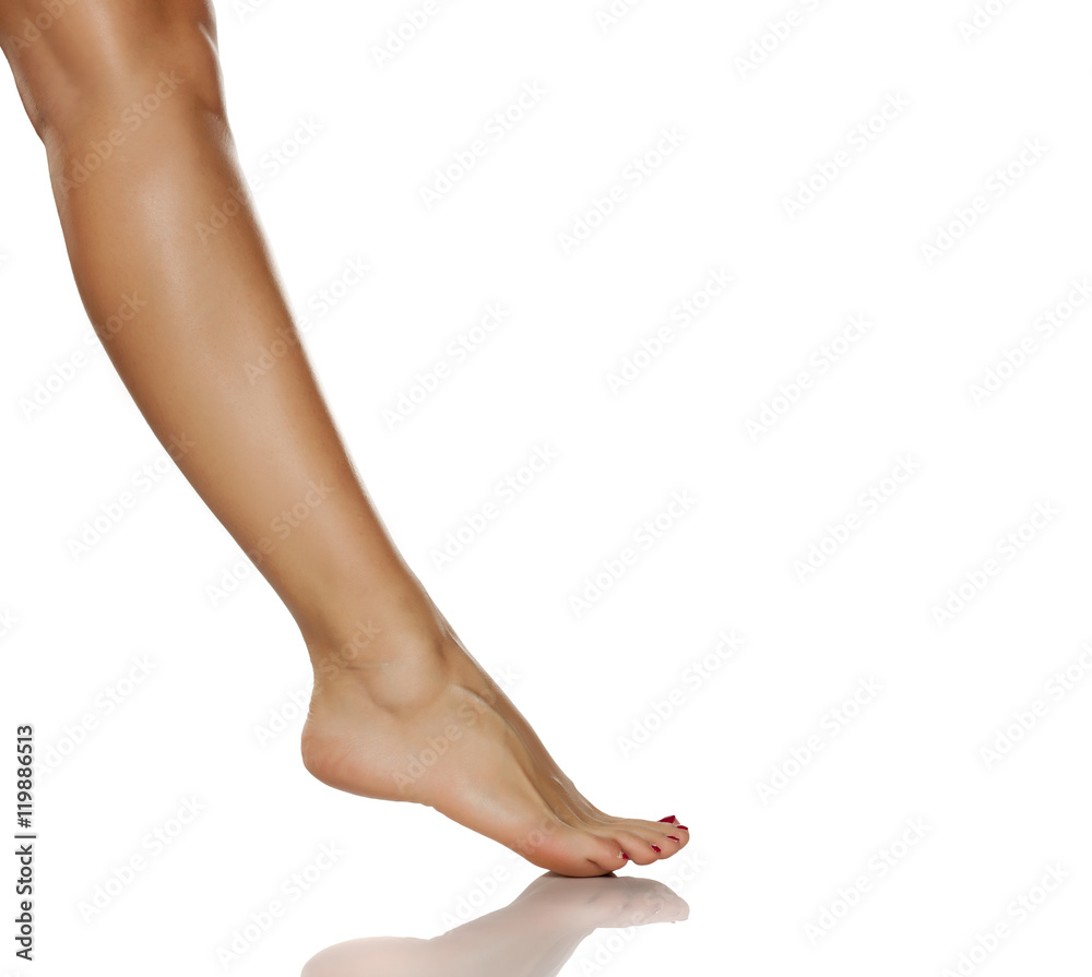 beautifully cared women's legs and feet on white background beautifully cared women's legs and feet on white background