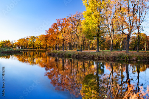 Fototapeta Naklejka Na Ścianę i Meble -  Landscape of river and trees in sunny day