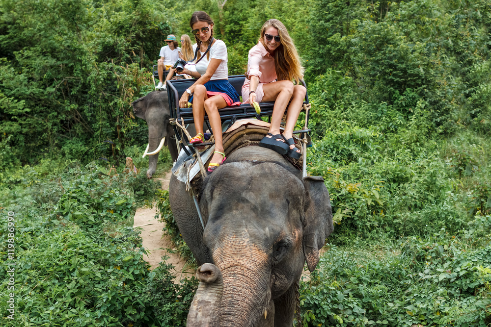 Fototapeta premium Young tourists go elephant trekking in the jungle 