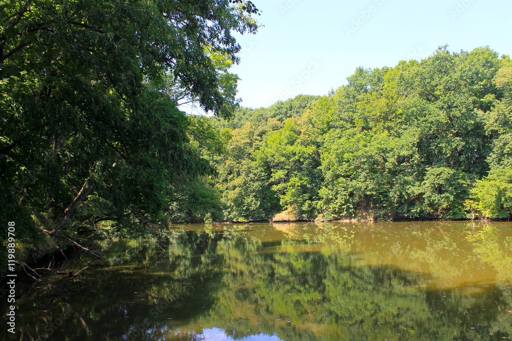 Lake in forest Lake in forest