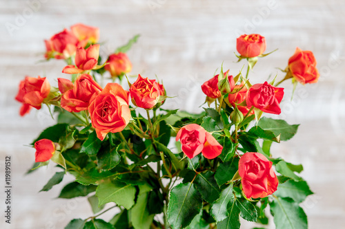 bouquet of tea roses