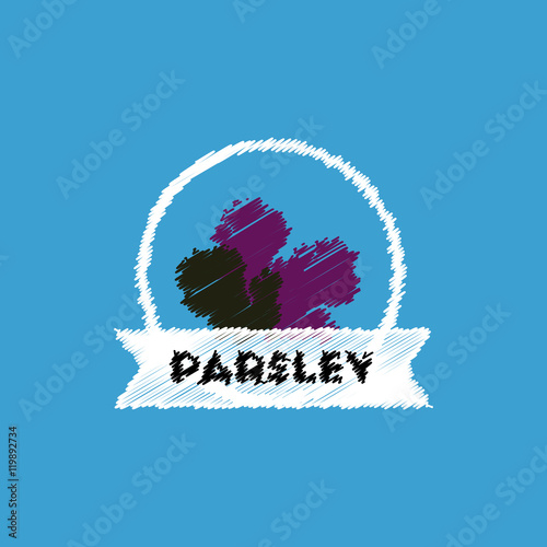 flat vector icon design collection Kitchenware seasoning parsley