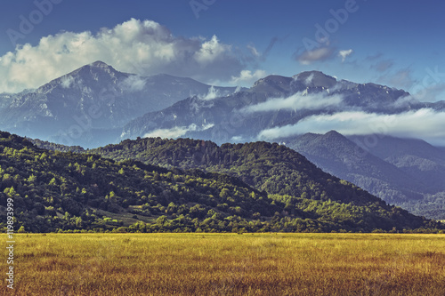 Idyllic summer landscape with golden ripe cornfield and Bucegi mountains at the horizon in Transylvania region, Romania. © Photosebia