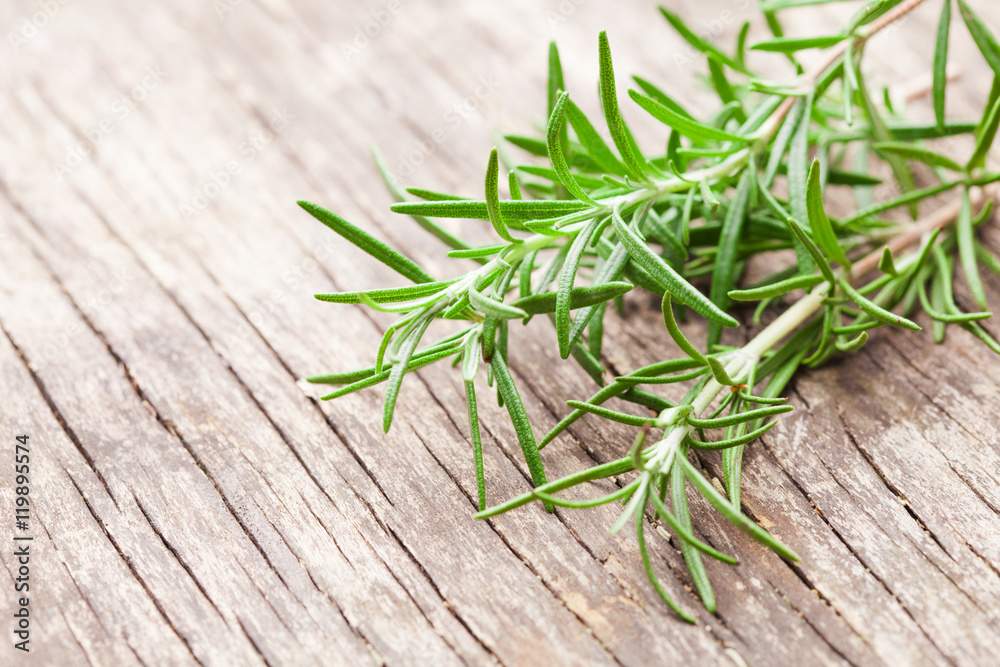 The rosemary twigs The rosemary twigs