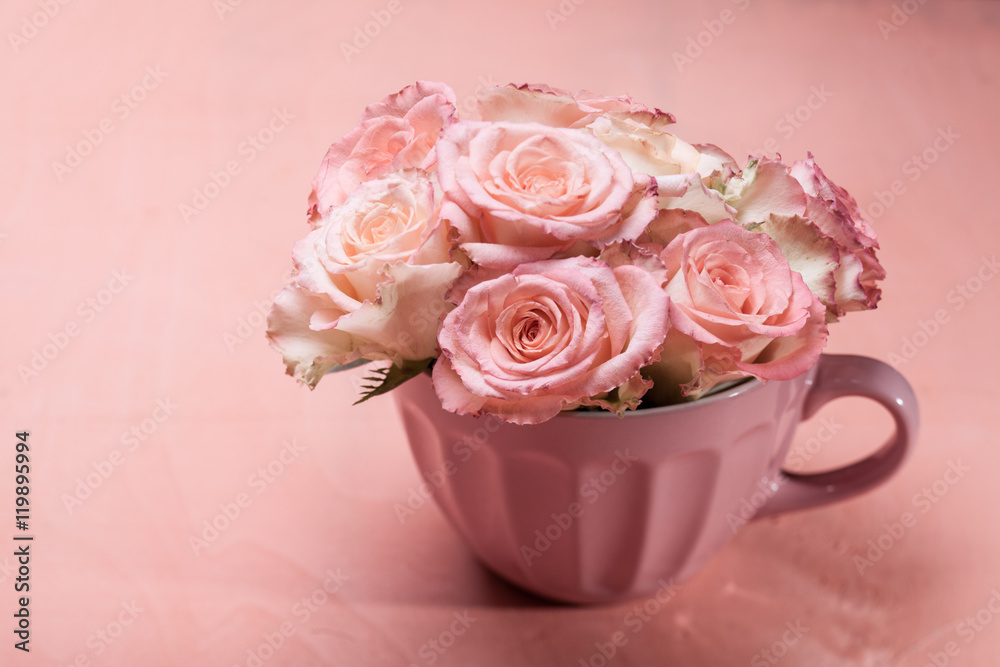 Pink roses in pot Pink roses in pot