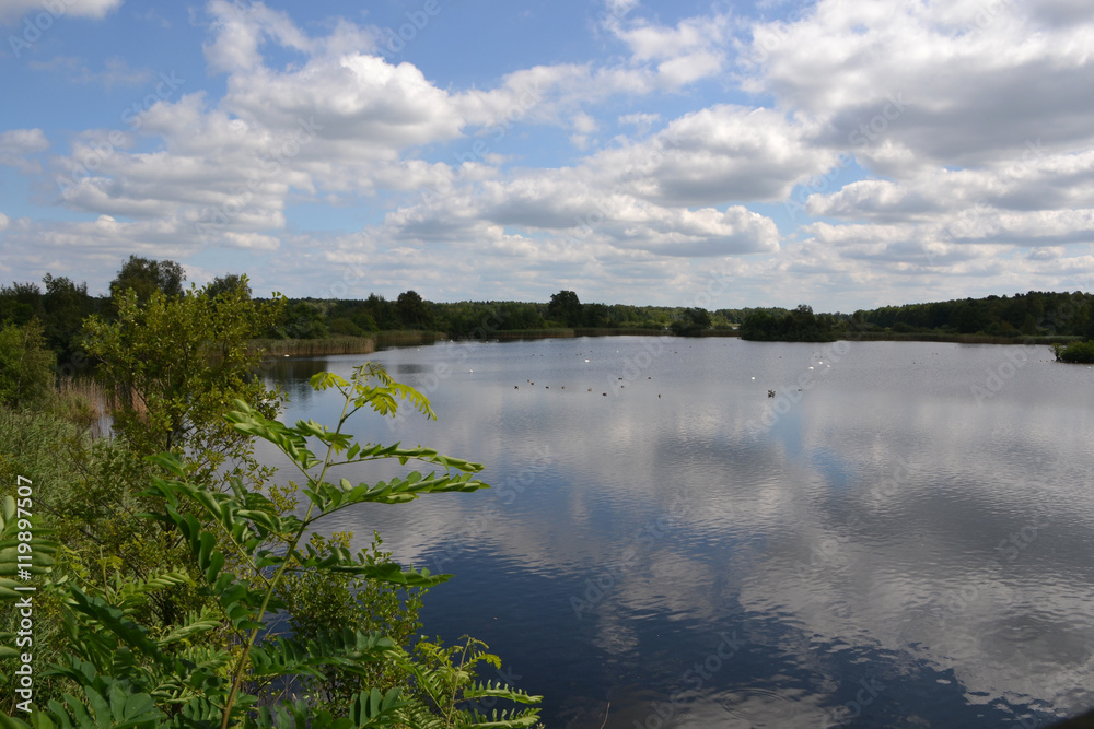 Hüttensee in Meissendorf Hüttensee in Meissendorf