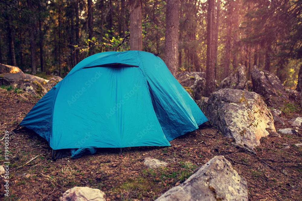 Blue pro trekking Tent in wild forest