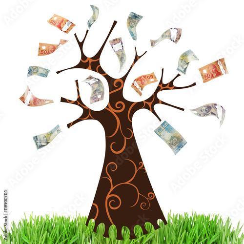 Money tree with grass on white background.